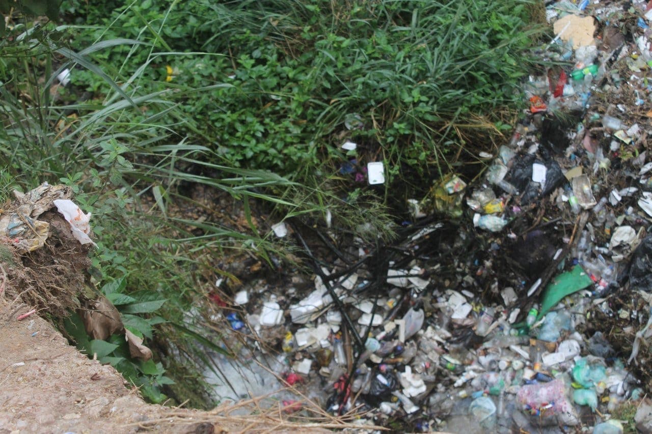 MONAGAS | Basura y plagas afectan a más de 40 vecinos del sector Araguaney II de Maturín