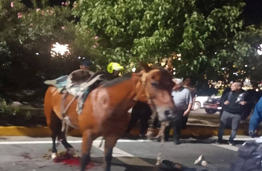 Accidente entre vehículo y caballo deja dos jóvenes lesionadas en Maracay