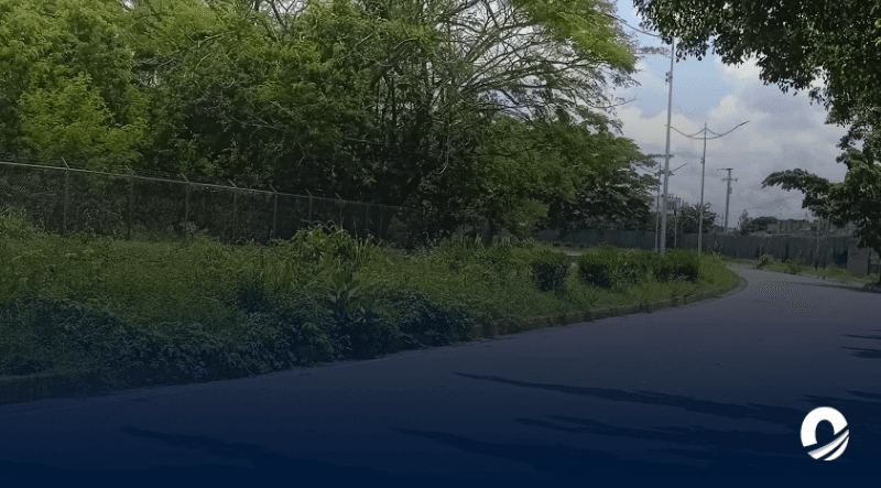 ANZOÁTEGUI| Maleza en la Avenida Boyacá de Anaco representa un peligro